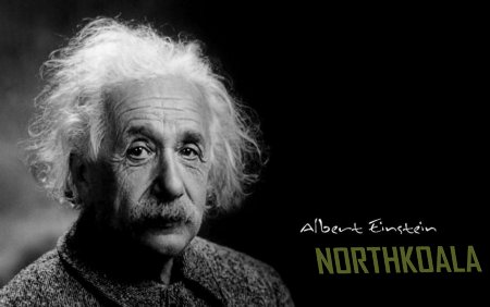Albert Einstein İn Sözleri Türkce tercüma.