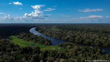 Amazon forest is importand for the world