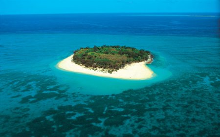How to survive on island