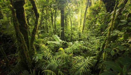 Greenest destinations on Earth