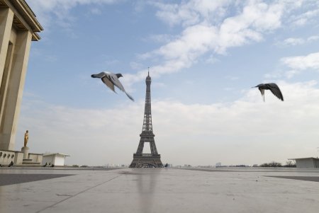 The Streets of Paris Under Quarantine
