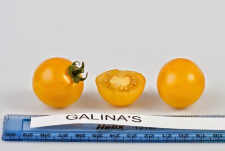 Tomato types 🍅 names measurement and weights Everything About Tomatos.