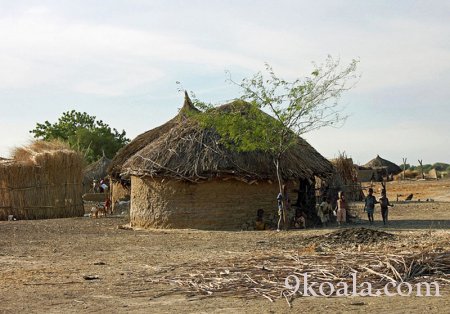 Cameroon handmade houses architecture pictures