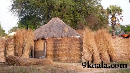 CAR Traditional architecture pictures on Africa vernacular architecture