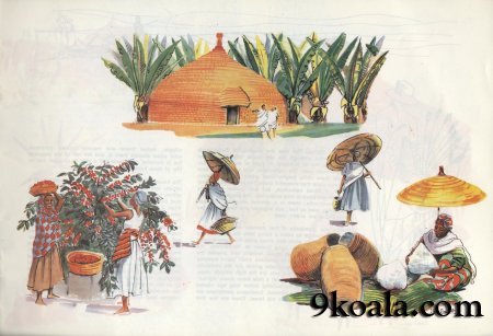 History of Ethiopia which is before nowhere  shared
