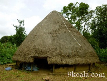 Guinea traditional vernacular architecture pictures