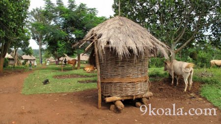 Kenya traditional  architecture house pictures