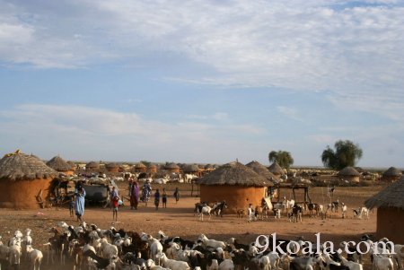 Mauritania vernacular architecture pictures