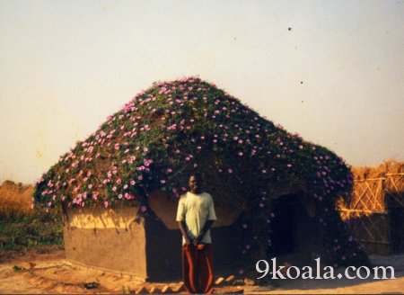 Zambia traditional vernacular architecture pictures