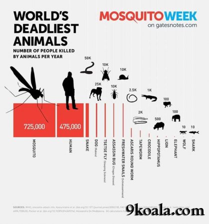 Did you know that the world's deadliest creatures are mosquitoes?