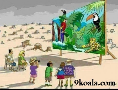 Images showing us what the world is like ...