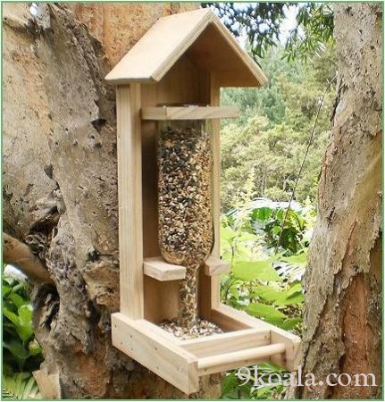 How to make a bird feed
