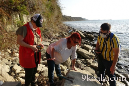 Mammoth fossils dating back 9 million years found in Çanakkale