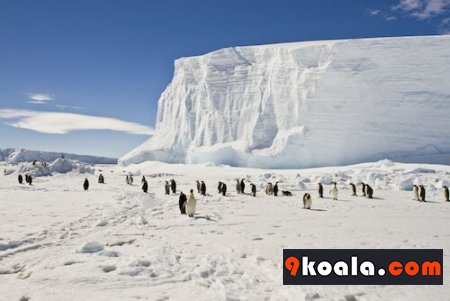 Top Antarctica Facts