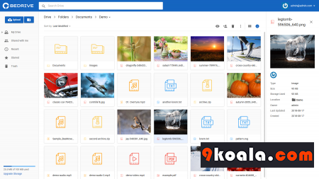 Bedrive Nulled download latest version free