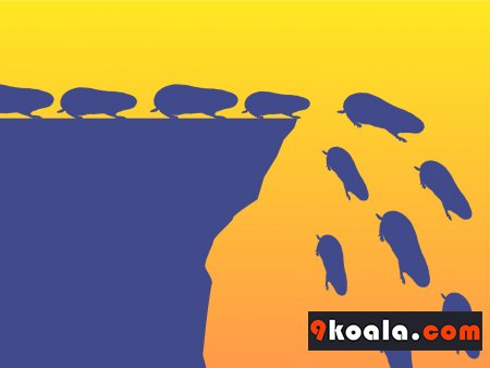 Do animals suicide?