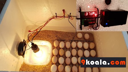 How to make handmade egg incubator at home