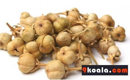 PEGANUM HARMALA